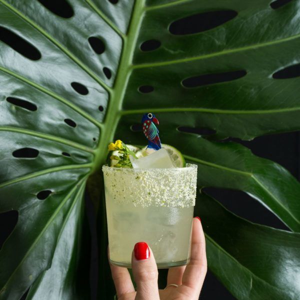 Broken Shaker Cocktail
